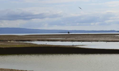 Details about Pong Dam: