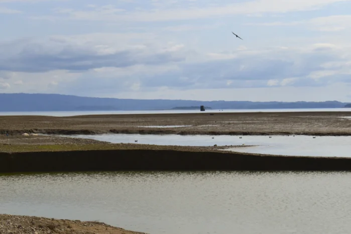 Details about Pong Dam: