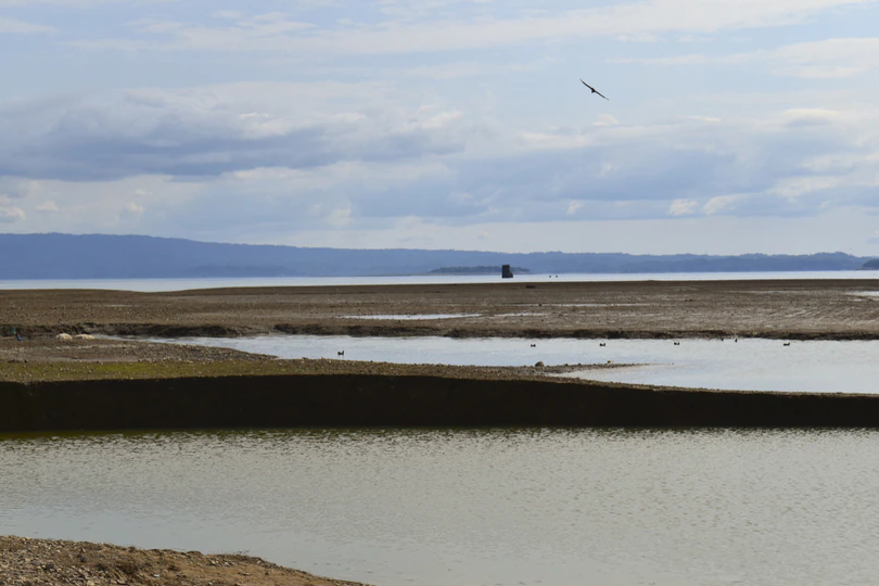 You are currently viewing Details about Pong Dam: